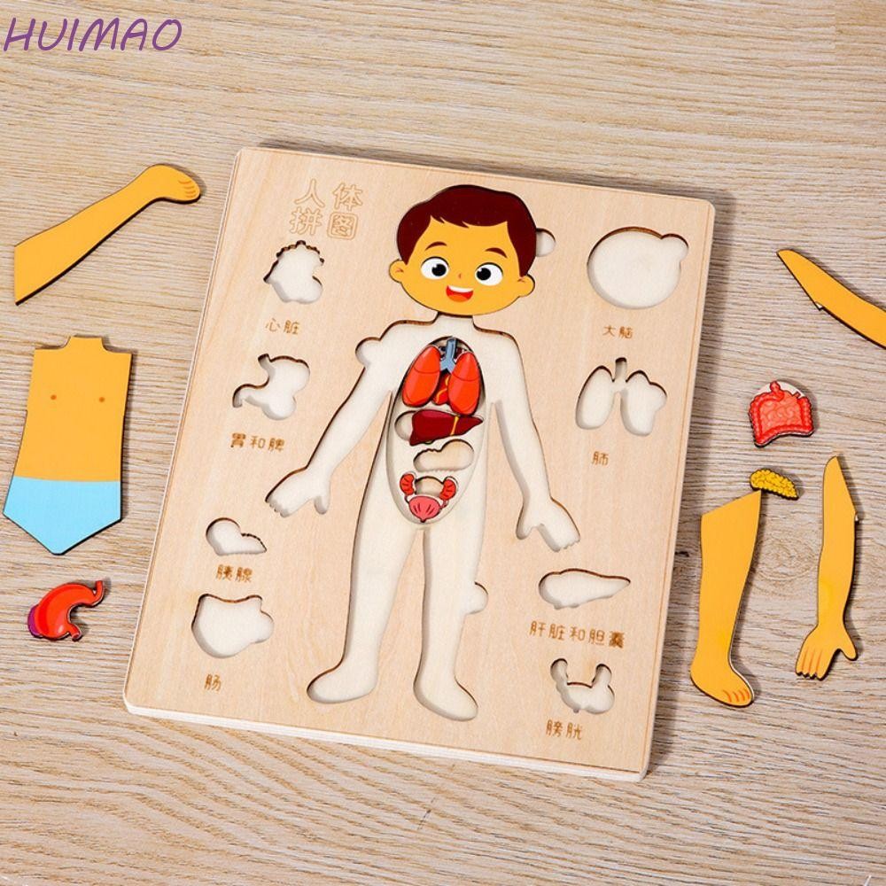 Huimao ไม้ปริศนาร่างกายมนุษย์, หลายชั้นชายหญิงปริศนาโครงสร้างร่างกาย, กิจกรรม Busy Board Montessori แผงของเล่นการศึกษา Anatomy จิ๊กซอว์เรียนรู้ชิ้นส่วนร่างกาย