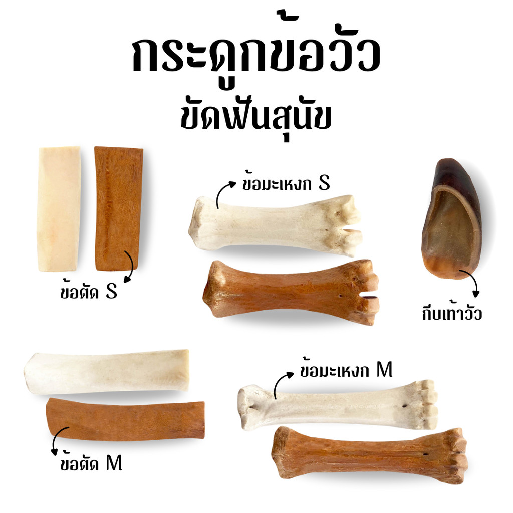 FRANC กระดูกวัวอบแห้ง 100% Natural ขนมสุนัขพันธุ์ใหญ่ ขัดฟัน ปลอดสาร กระดูกขาวัว อุ้งเท้าวัว