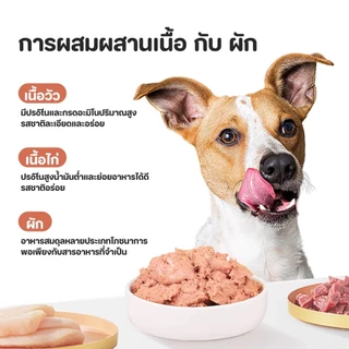 🐾 10 กระป๋อง อาหารกระป๋องสุนัข 9 รสชาติ ขนาด 460 กรัม โปรตีนสูง บำรุงขนและผิวหนัง ดูแลลำไส้ ย่อยง่าย เหมาะสำหรับสุนัขทุก