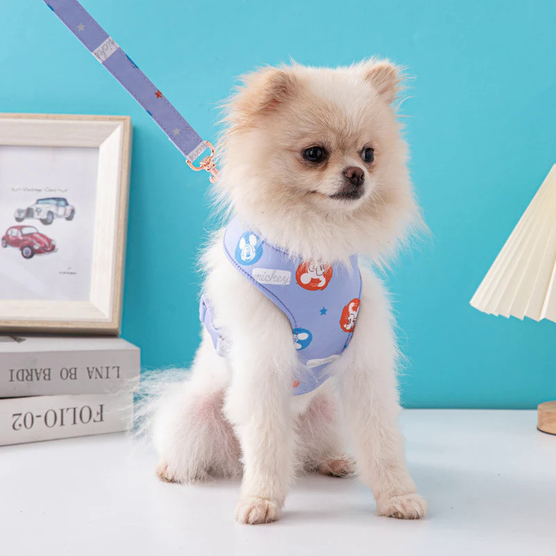 Disney Cotton Comfort Vest Chest Harness Outdoor Leisure Dog Leash Dog Harness and Leash Set  Dog Co