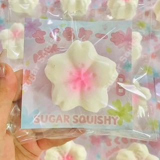 สกุชชี่น้ําตาล ดอกซากุระสีชมพู สกุชชี่ที่เพิ่มขึ้นช้า