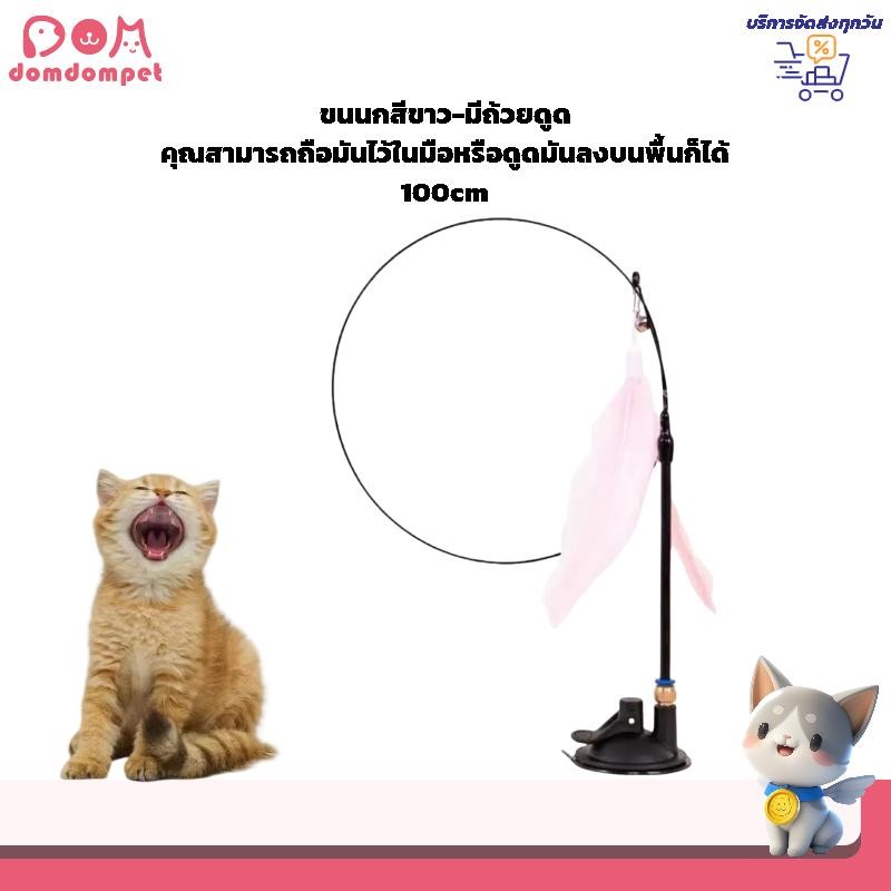 domdompet: ของเล่นแมวไม้ตกแมว ชมพู เสาเล่นแมวพร้อมฐานดูดแน่น เส้นลวดยาว พร้อมกระดิ่งและขนนก