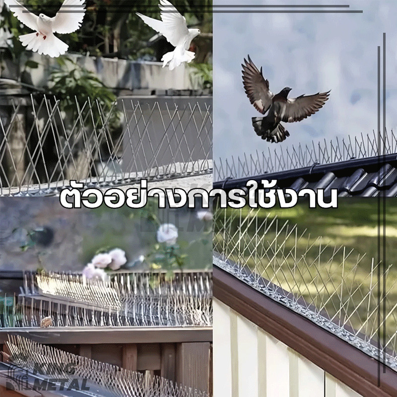 Thumbnail 9