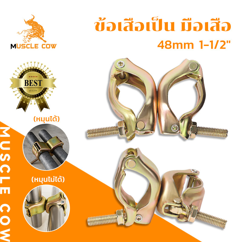 MUSCLE COW ข้อเสือจับนั่งร้าน 48mm (1-1/2") แบบหมุนได้/ไม่หมุน  สีทองเหลือง แข็งแรง ทนทาน เหมาะกับท่อเหล็ก