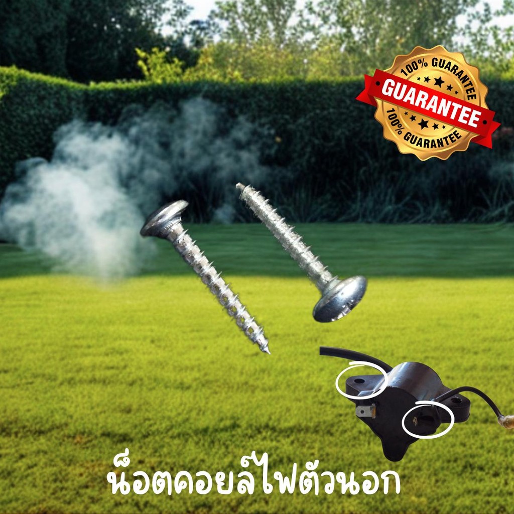 น็อตคอยล์ไฟตัวนอก 1ชุด 2ตัว อะไหล่เครื่องพ่นลม3WF พ่นปุ๋ย อะไหล่ทดแทน สินค้าคุณภาพดี