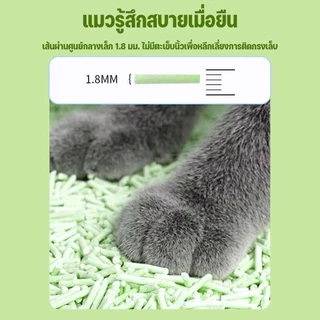 SKISOPGO ทรายแมวเต้าหู้ Cat Litter ทรายเต้าหู้ ทรายแมว ออร์แกนิค 100% เก็บกลิ่น 6L จับตัวเป็นก้อนไว