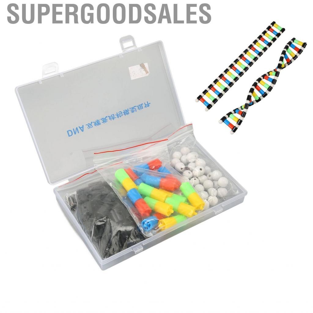 Supergoodsales การศึกษาโมเดลการประกอบโมเดล DNA เครื่องมือสร้างความนิยมทางวิทยาศาสตร์คู่