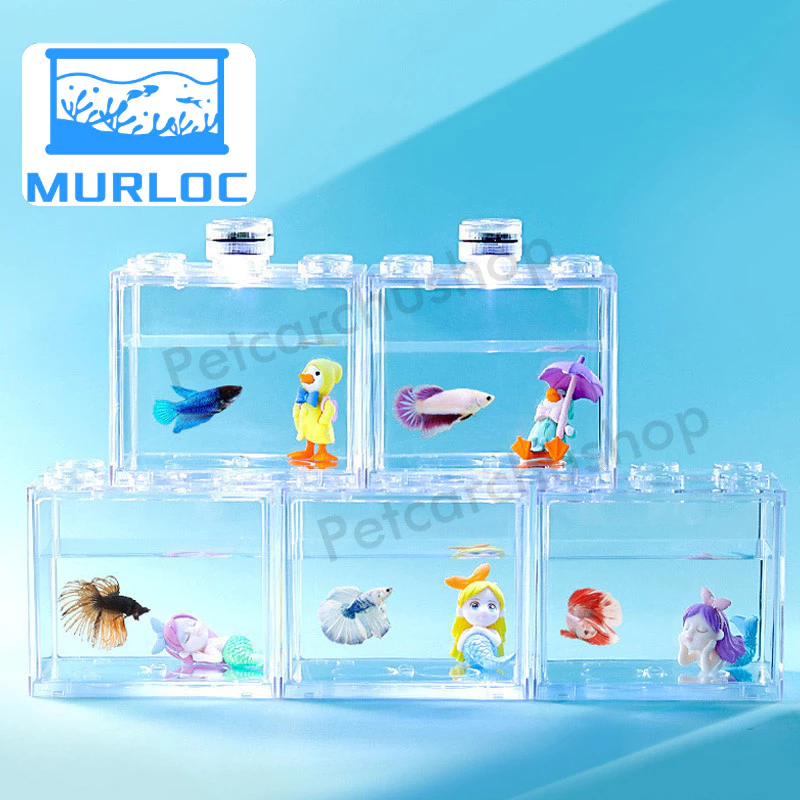 ตู้ปลากัด พร้อมไฟ LED หลายขนาด กะทัดรัด ดูแลง่าย thumbnail 5