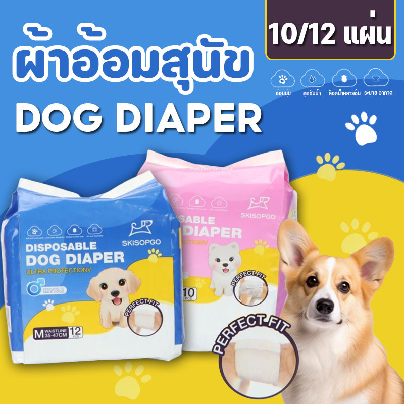 ผ้าอ้อมน้องหมา แพมเพิสเพศผู้-เพศเมีย ไซส์ XS-XL ดูดซับเร็ว ระบายอากาศดี ปลอดภัยไม่รั่ว