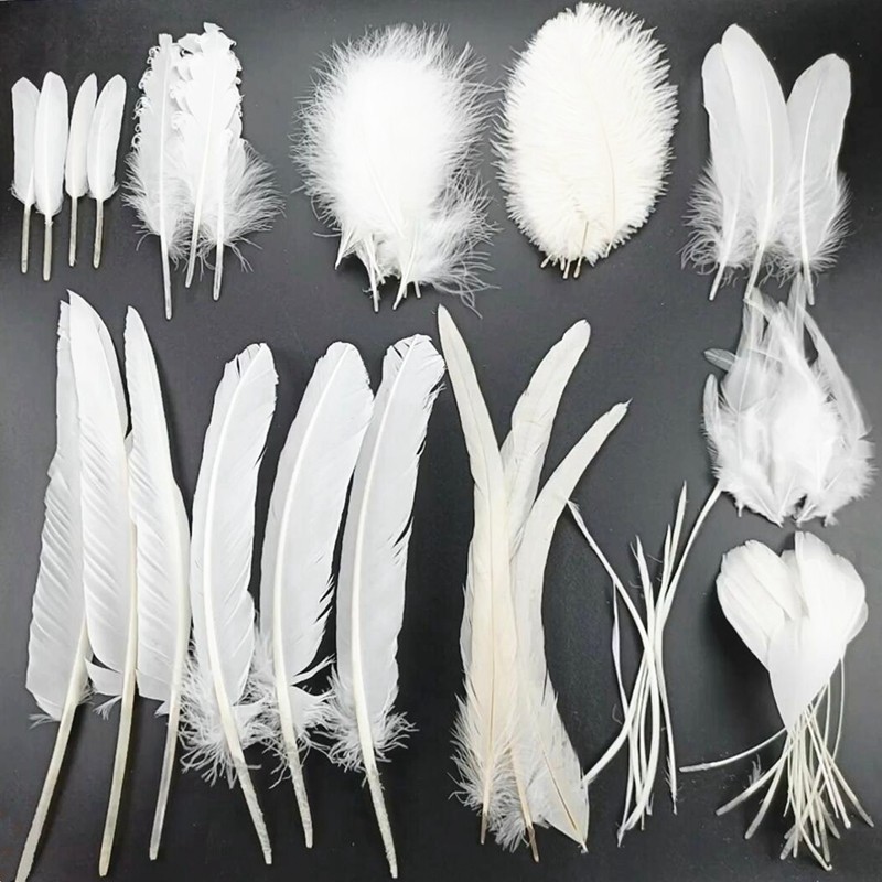 20ชิ้นสีขาวไก่ห่านไก่ฟ้าขนนกสําหรับงานฝีมือเครื่องประดับทํามารูเป็ดตุรกีไก่ขนนกกระจอกเทศตกแต่งงานแต่งงานพลัมหัตถกรรมอุปกรณ์พลัม