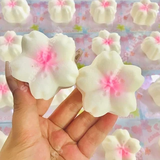 สกุชชี่น้ําตาล ดอกซากุระสีชมพู สกุชชี่ที่เพิ่มขึ้นช้า