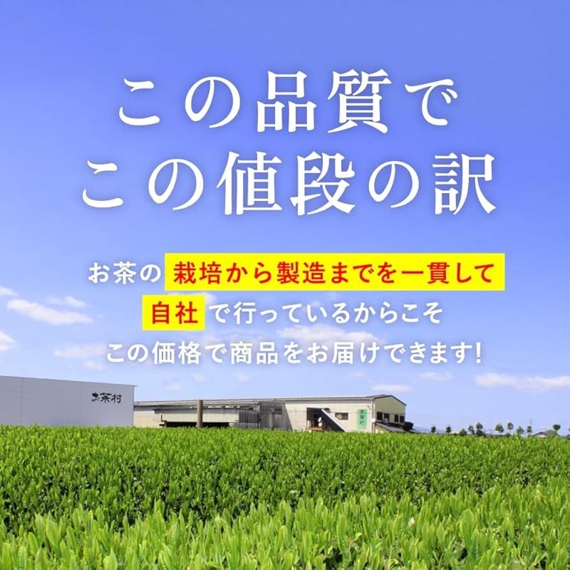 Yame Matcha 111g x 2 bags set Large capacity 222g Matcha powder Fukuoka Prefecture Yame 100% - รูปที่ 7