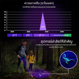 ⚡TBA ไฟฉาย UV ซูมได้ 395 / ไฟฉายอัลตราไวโอเลต LED UV 3 โหมด แบบชาร์จไฟได้ USB กันน้ํา สําหรับสัตว์เลี้ยง แมงป่อง ตรวจจับ