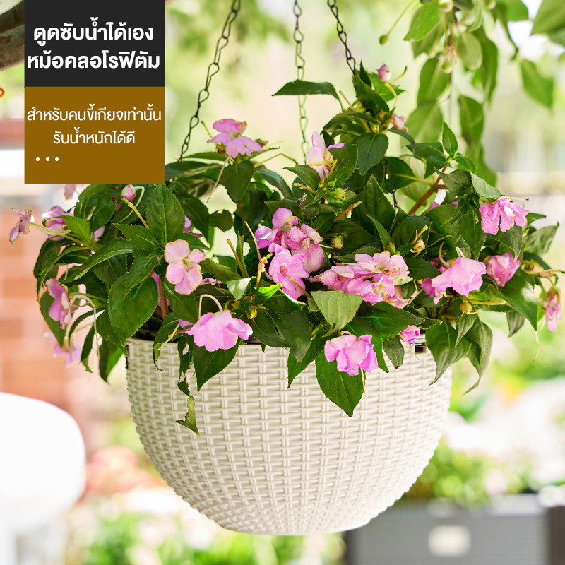 กระถาง กระถางพลาติก กระถางแขวน พร้อมโซ่ ทรงกะลามะพร้าว ร้อมรูระบายน้ําตะกร้าไฮโดรโพนิพลาสติกสวน