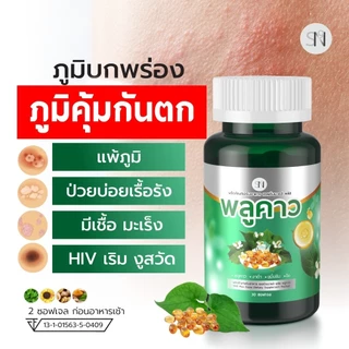(2แถม2) SN9 พลูคาวสกัดเย็น ภูมิต่ำ ผดผื่น สะเก็ดเงิน โรคผิวหนัง กลากเกลื้อน น้ำเหลืองเสีย พลูคาวสกัด
