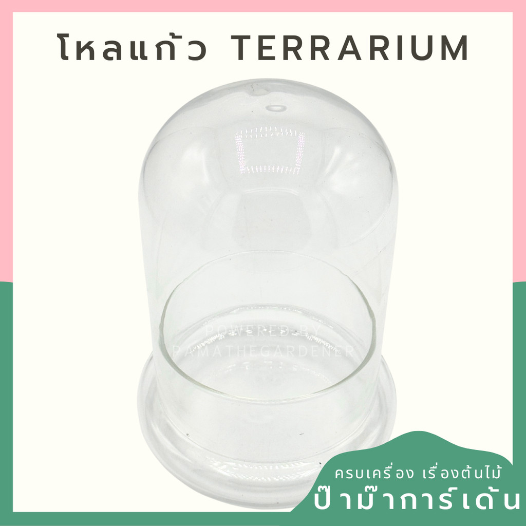 โหลแก้ว Terrarium โดมแก้ว มี 2 ขนาด สำหรับจัดสวนขวด