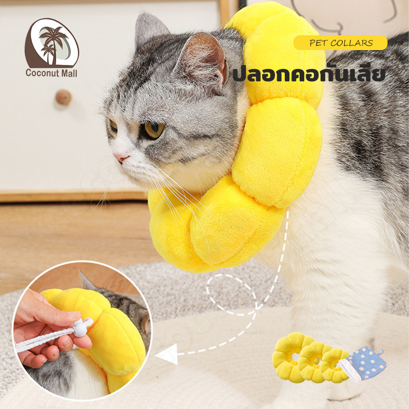 ปลอกคอแมว หมา ปลอกคอดอกไม้ ทานตะวัน ปลอกคอกันเลีย หมอน คอลล่ากันเลีย