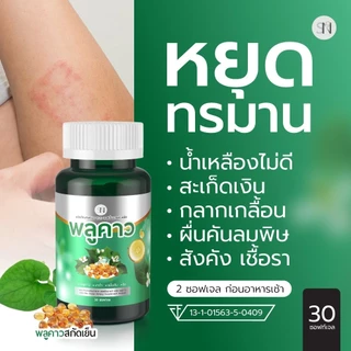 (2แถม2) SN9 พลูคาวสกัดเย็น ภูมิต่ำ ผดผื่น สะเก็ดเงิน โรคผิวหนัง กลากเกลื้อน น้ำเหลืองเสีย พลูคาวสกัด