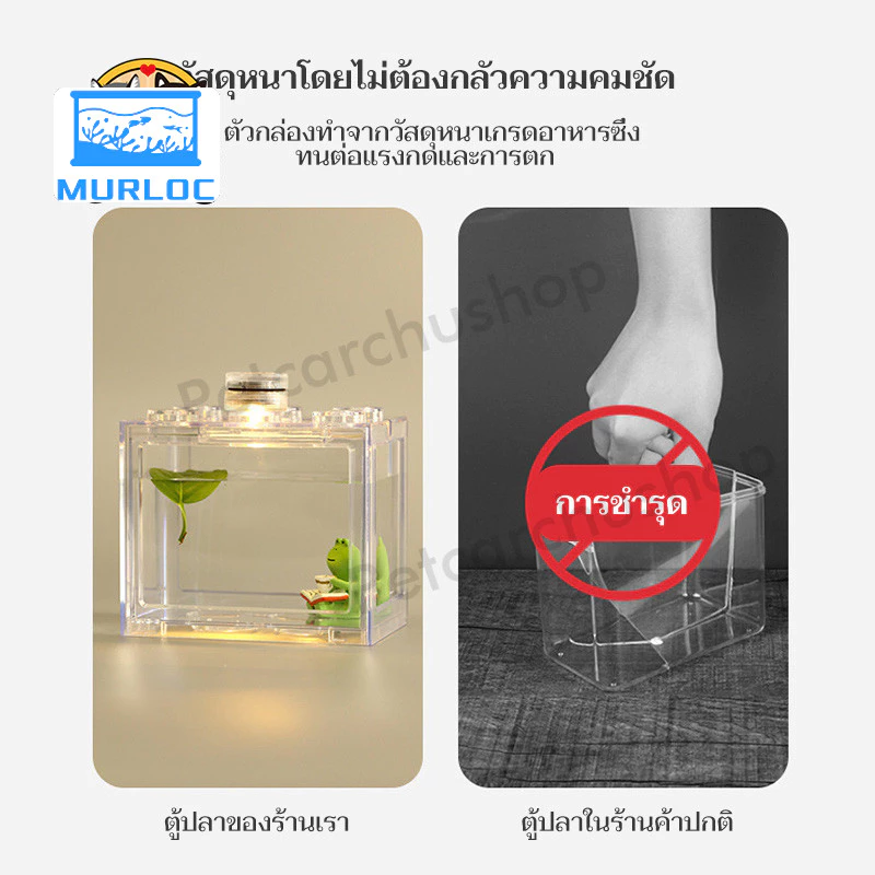 ตู้ปลากัด พร้อมไฟ LED หลายขนาด กะทัดรัด ดูแลง่าย thumbnail 9
