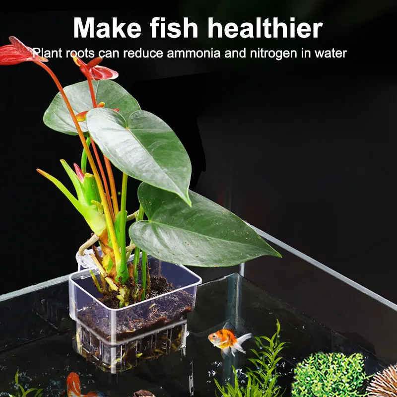 Fish Bubbles Aquarium Water Grass Cup หลายพืช Hydroponics ตะกร้าปลูก Hydroponic สําหรับถังปลาภูมิทัศน์ Fish Bubbles Aquarium น้ําหญ้าถ้วยหลายพืช hydroponics