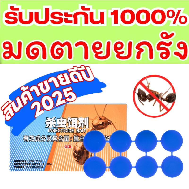 พร้อมส่ง เจลกำจัดมด กำจัดมด ยากำจัดมด 8 ชิ้น/กล่อง เป็นมิตรต่อคนและสัตว์เลี้ยงมาก เจลฆ่ามด ant killer