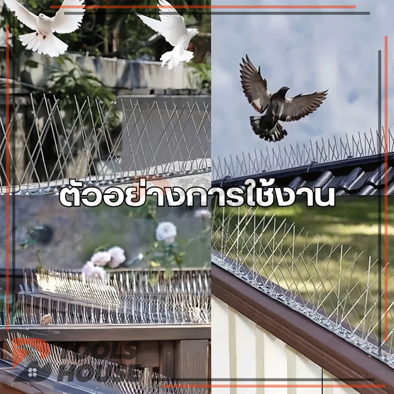 Thumbnail 9