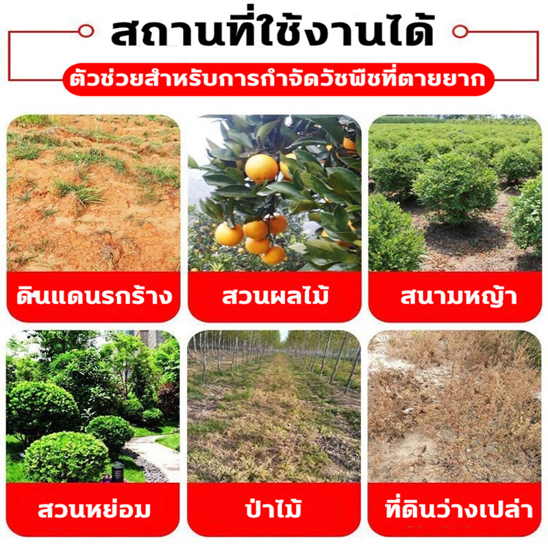 💥ไม่ได้ผลยินดีคืนเงิน💥ยาฆ่าต้นไม้ใหญ เข้มข้นสุด 200ml 1ขวดเท่ากับ20ขวด ยาฆ่าตอต้นไม้ ตรงไปที่ราก รากเน่ารากตาย ยาฆ่าตอไม - รูปที่ 5