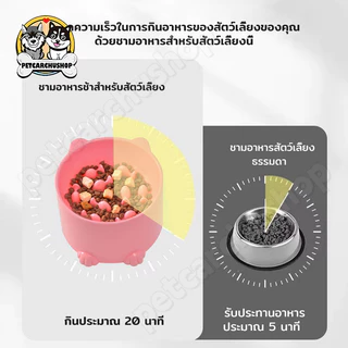 ส่งจากไทย ชามใส่อาหาร ชามอาหารสัตว์เลี้ยง ลายการ์ตูน สุนัข หมา แมว ฝึกให้ทานช้าลง ช่วยลดการสำลัก