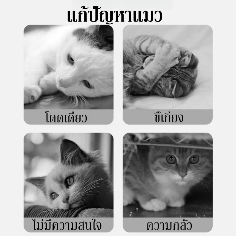 COD ลูกบอลสัตว์เลี้ยงตลก ของเล่นแมว ลูกบอลมีเสียงสำหรับสัตว์เลี้ยง เลียนเสียง นก กบ กัญชาแมว รูปที่ 5