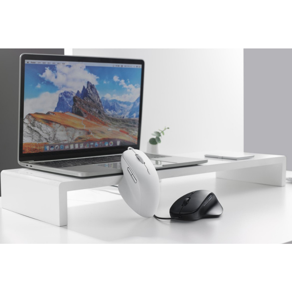 RAPOO Optical Mouse N500 เม้าส์มีสาย เมาส์ทำงาน มีปุ่ม รูปที่ 5