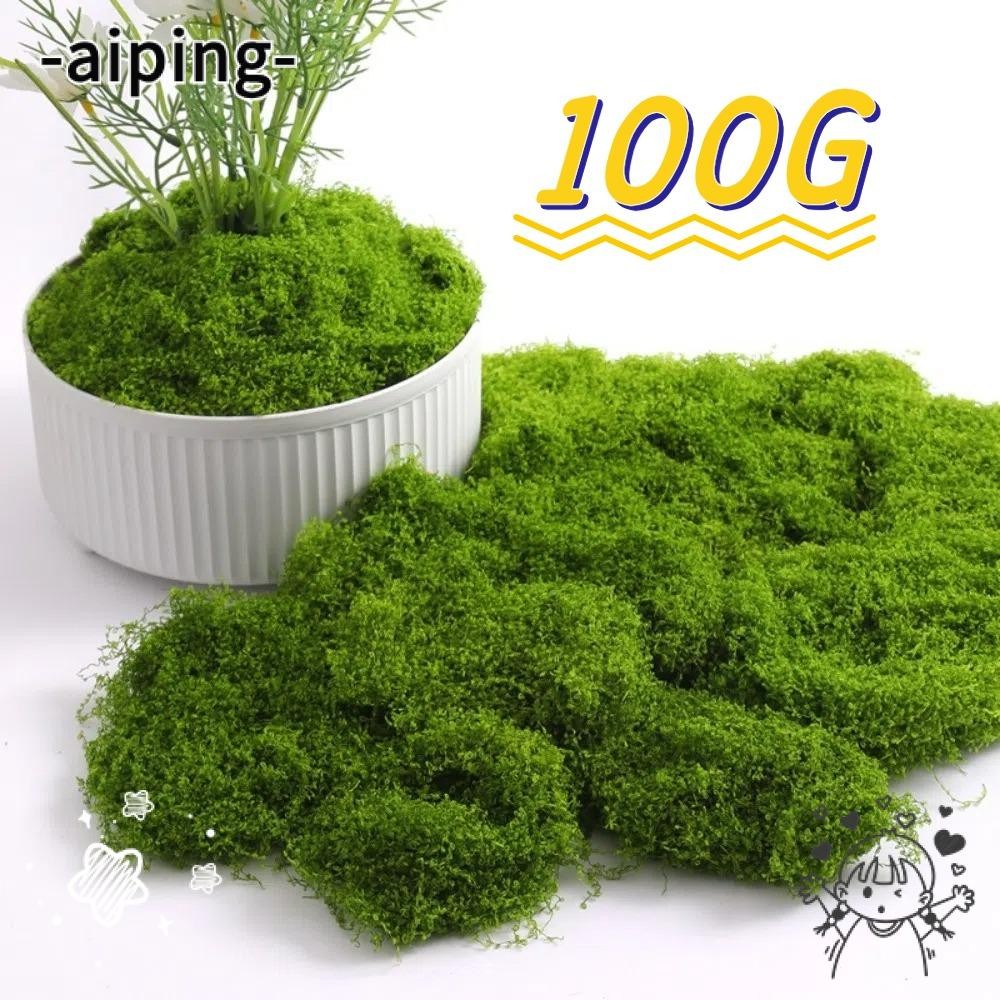 AIPING Miniature ฉาก Moss, Mini ภูมิทัศน์ 100G มอสเทียม, พืชที่เก็บรักษาไว้สีเขียว Moss DIY Craft Terrarium พืชที่เก็บรักษาไว้ Moss ตกแต่งสวน