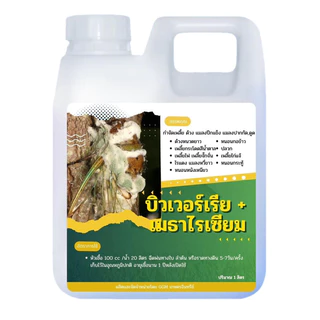 บิวเวอร์เรีย+เมธาไรเซียมGGM 1แถม1