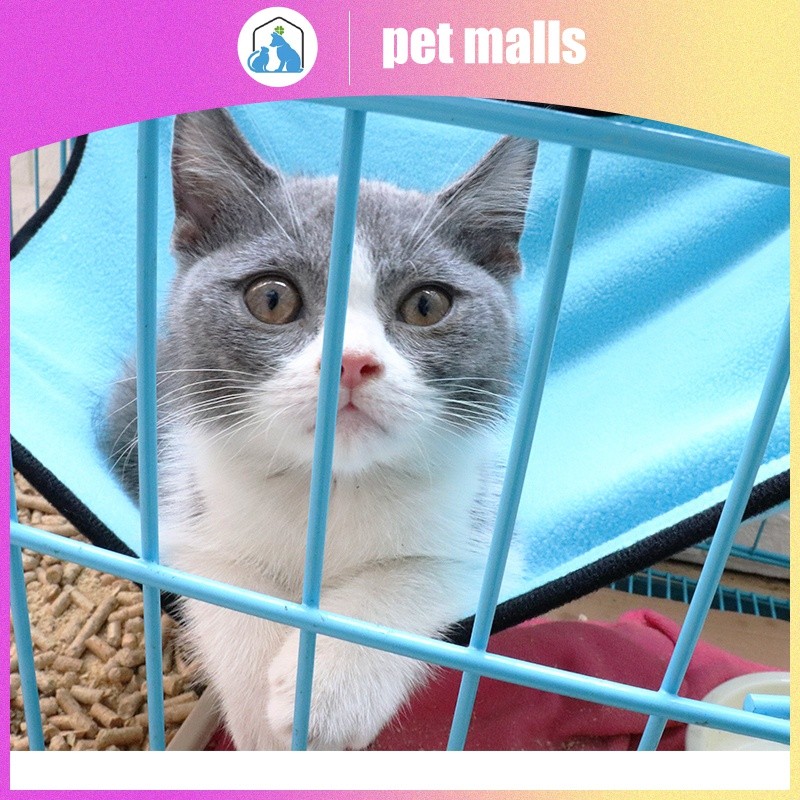 PET MALLS ตาข่ายระบายอากาศแมวเปลญวนความชื้นแมวนอนเปลแขวนแขวนกรงสำหรับกรงแกว่ง