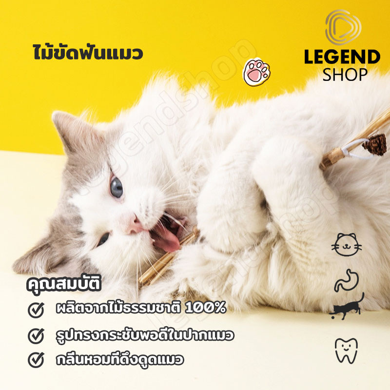 ไม้มาทาทาบิ ขัดฟันไม้ อันใหญ่มาก ไม้ขัดฟันแมว ของเล่นแมว ลดคราบหินปูน
