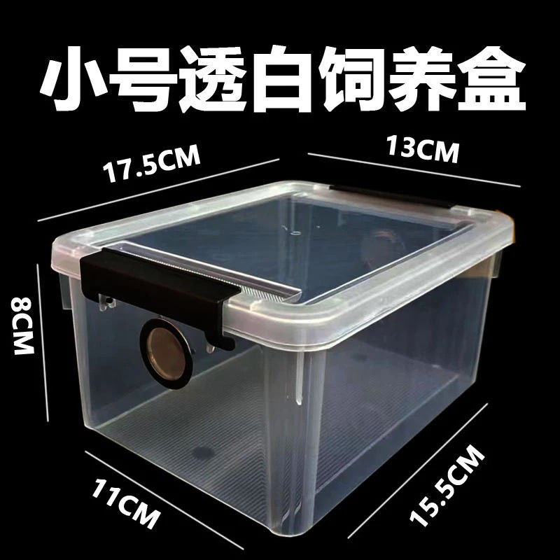 爬虫饲养盒爬宠鼠妇蜘蛛蝎子蛇守宫蜥蜴蜈蚣甲虫角蛙两栖乌龟缸Crawler feeding box, pet, mouse, spider, scorpion, snake, guard20250620