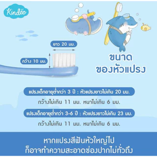 Kindee แปรงสีฟันเด็กขนนุ่ม สำหรับเด็ก 1-6 ปี คอแปรงโค้งงอได้ รับกับช่องปากเด็ก