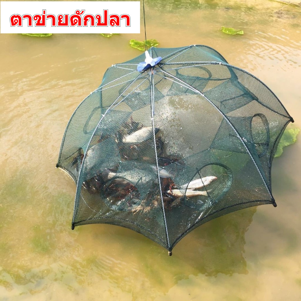 ตาข่ายดักปลา มุ้งดักปลา ที่ดักกุ้ง กระชังปลา ที่ดักปลา มุ้งดักกุ้ง ที่ดักกุ้งฝอย พับเก็บได้ 4 /6/ 8/ 10 /12ช่อง SK