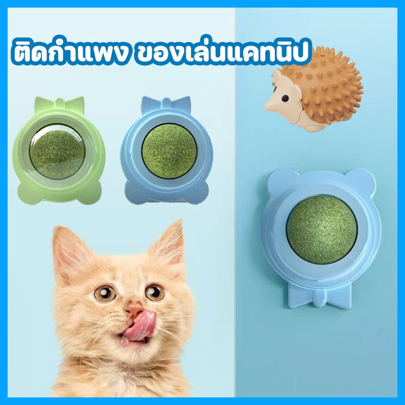 กัญชาแมว แคทนิปบอล หญ้าชนิดหนึ่ง ปลอดภัยและมีสุขภาพดี ติดกำแพง ของเล่นแคทนิป หญ้าแมว หลากหลายสไตล์
