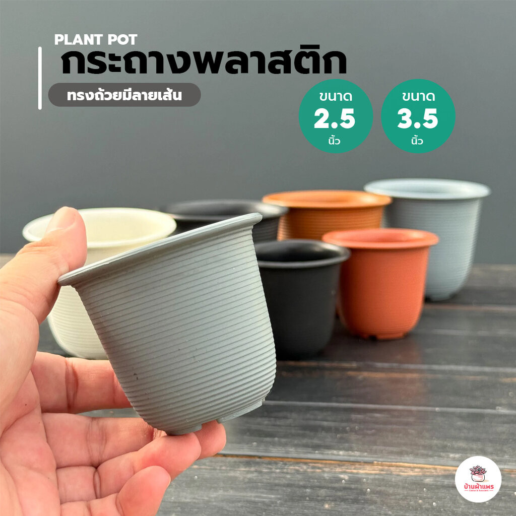 กระถางพลาสติก 2.5 นิ้ว – 3.5 นิ้ว #ทรงถ้วยมีลายเส้น กระถางพลาสติก กระถางแคคตัส กระถางกระบองเพชร
