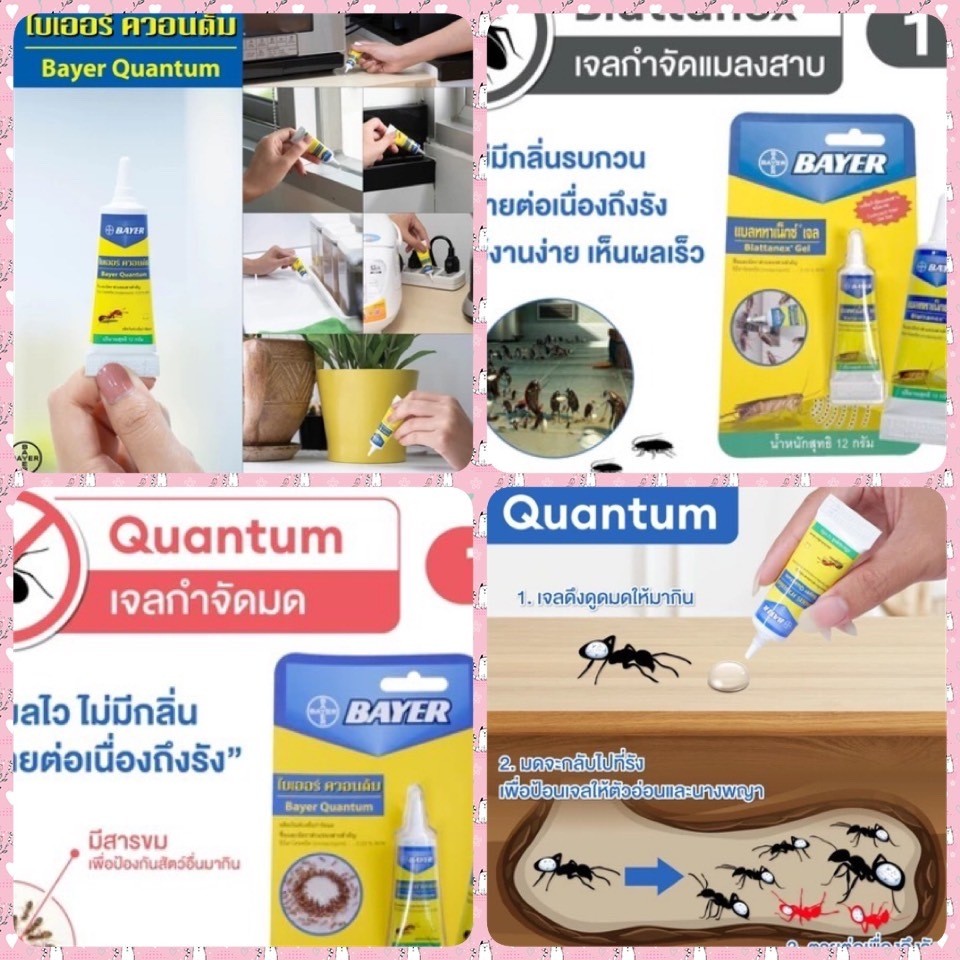 โค้ดไลฟ์ 50% Blattanex Gel เจลกำจัดมด ควอนตั้ม  / เจลกำจัดแมลงสาบ แบลททาเน็กซ์ เจล 12 กรัม
