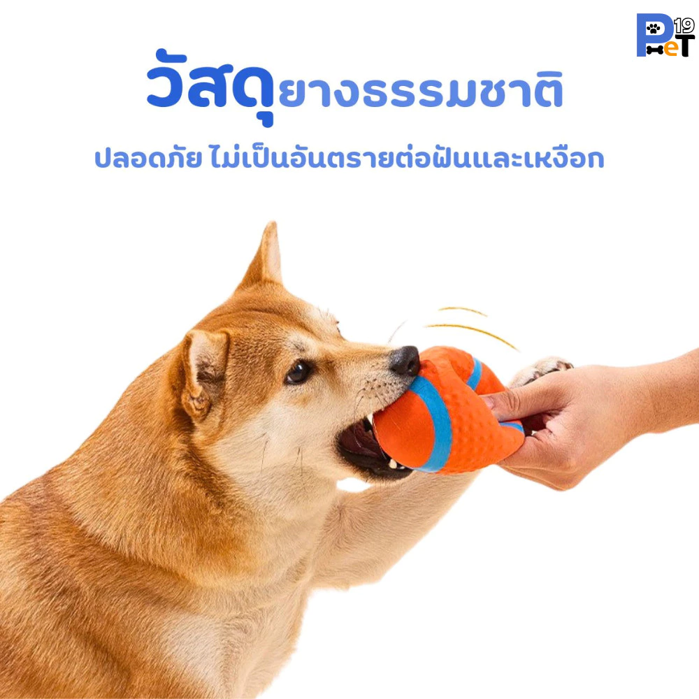 Pet19 ลูกบอลของเล่นสุนัขมีเสียงทนทาน thumbnail 3