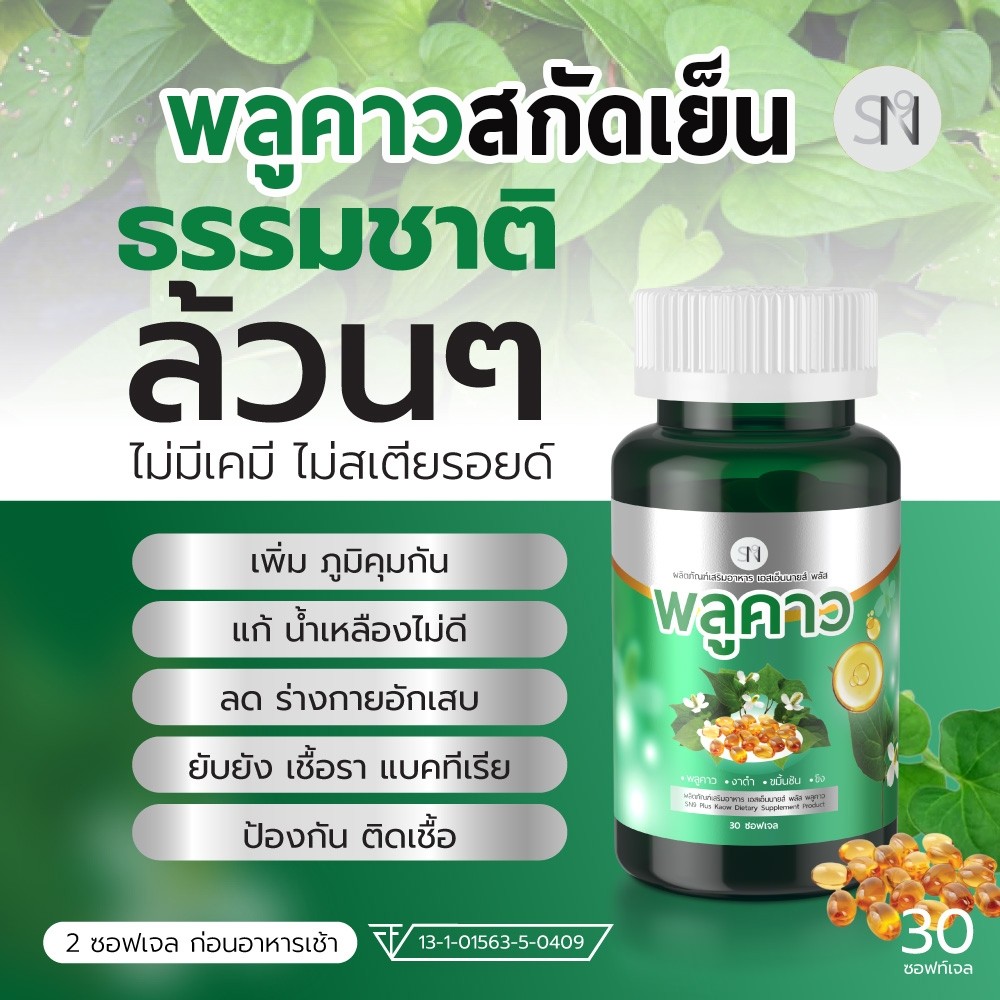 [แท้จากบริษัท]พลูคาว สกัดเย็น เชื้อร้าย น้ำเหลืองเสีย กลากเกลื้อน สังคัง สะเก็ด เสริมภูมิ คาวตอง - รูปที่ 3