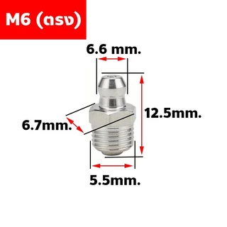 หัวอัดจารบีสแตนเลส ปลอดสนิม แบบตรง 45° 90° เกลียวมิล M6 M8 M10 (304 Stainless Steel Grease Nipple)