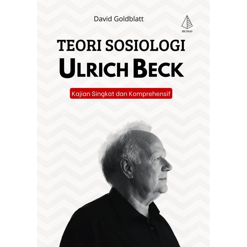 Ulrich Beck Sociology Theory Short and Comprehensive Studies - David Goldbatt