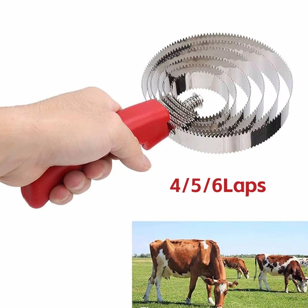 จัดส่งรวดเร็ว 4วง 5วง 6วง แปรงเกาขนวัว แกะ ม้า แปรงขัดวัว แบบสแตนเลส ขุดเห็บ แก้คัน ผ่อนความเครียดสัตว์เลี้ยง - รูปที่ 3