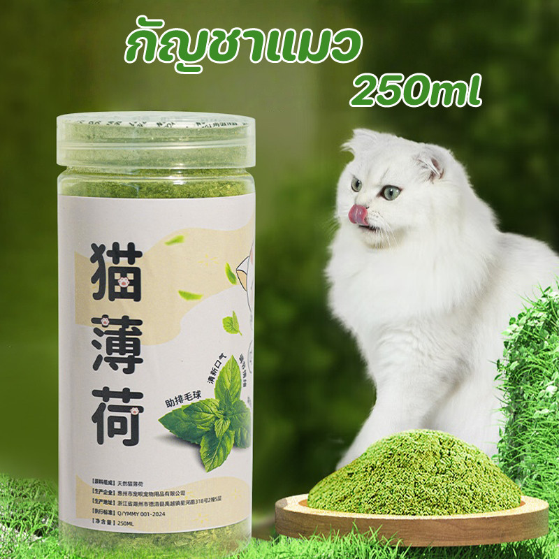 Catnip ผงสะระแหน่แมว กัญชาแมว 250ml กัญชาหลอด แบบผงบดละเอียด แคตนิปแมว แมวชอบมาก