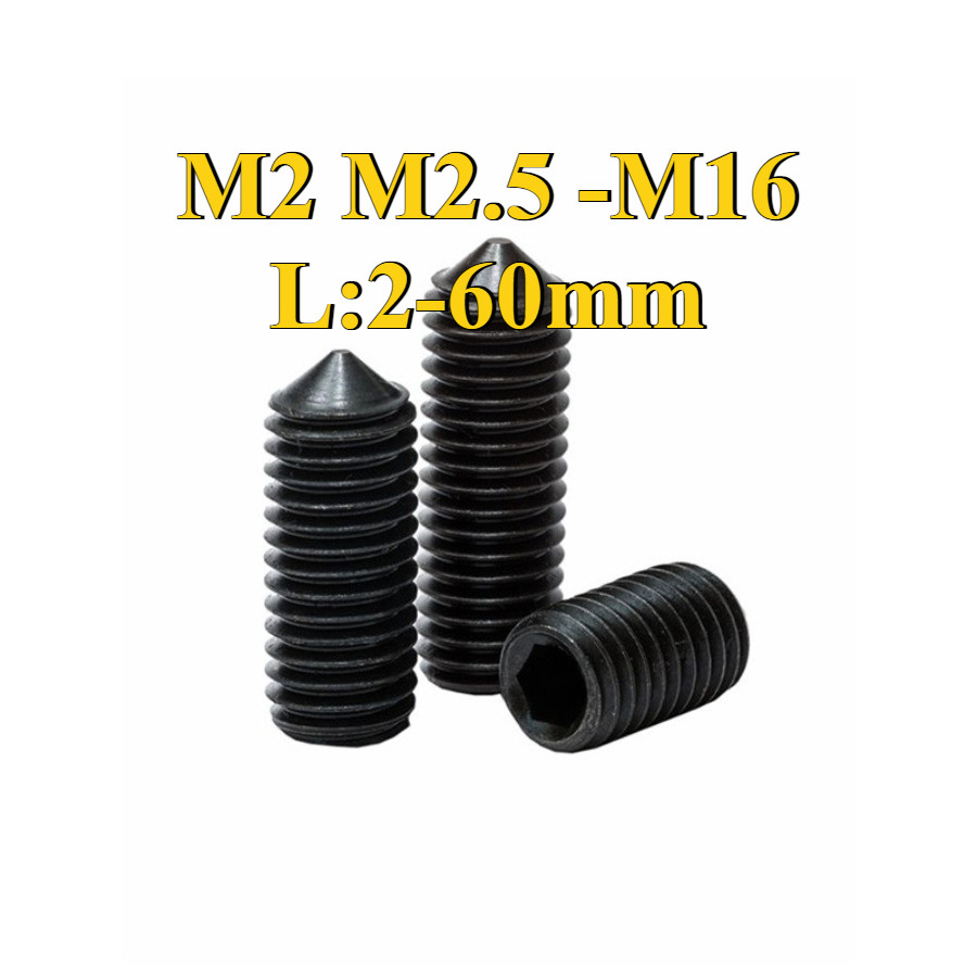 12.9 Grade Pointed Edge Fixing Screw/Fixing Screw M2M2.5/M3-M16 * L = 2-60mm (DM)