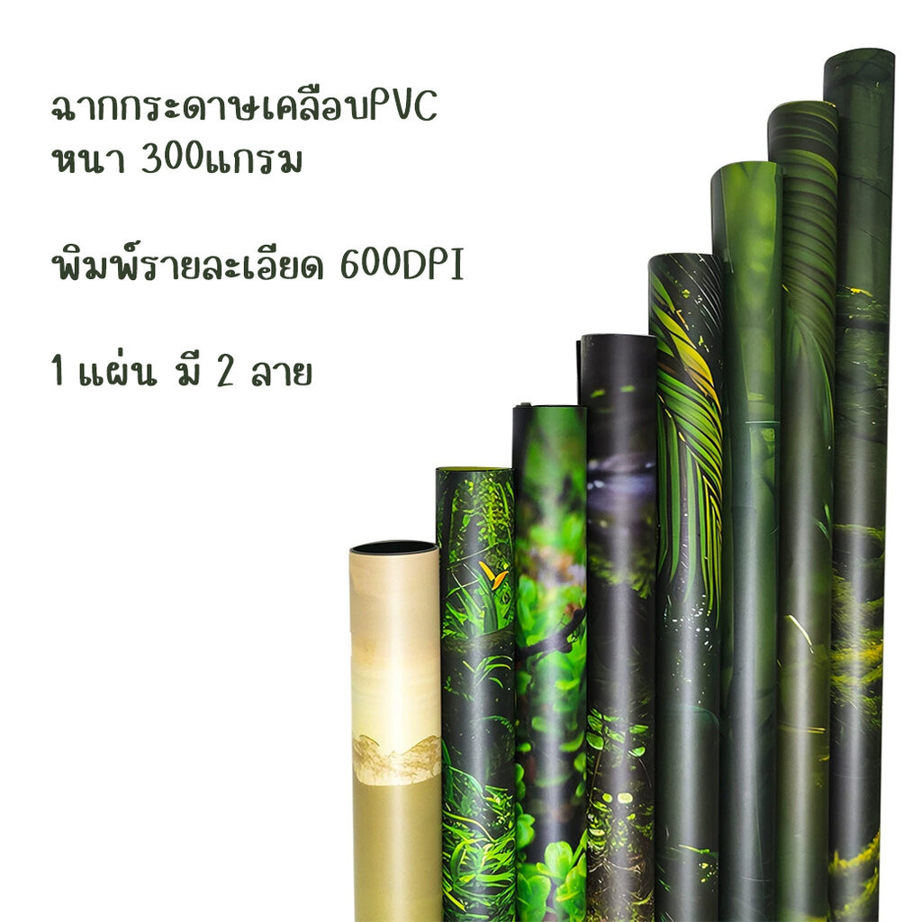 ฉากถ่ายรูปสินค้า 3มิติ ลายป่าไม้ ภูเขา น้ำตก ธรรมชาติ Forest Photography background