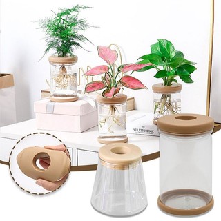 Transparent Hydroponic Pot Water Planting Vase Stylish Propagation Pot Container Aquaponic Planter Home Decoration
