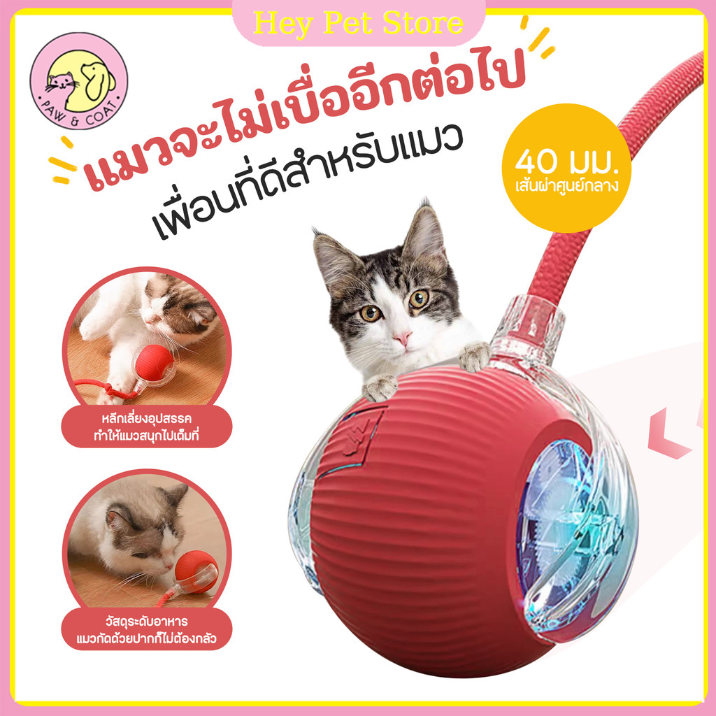 ของเล่นแมวแบบโต้ตอบไฟฟ้า ลูกบอลชาร์จด้วย USB เซ็นเซอร์ตรวจจับการเคลื่อนไหวแบบ C ของเล่นสัตว์เลี้ยง